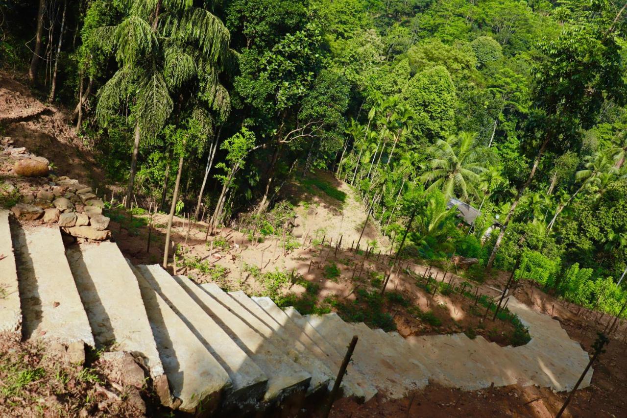 Paradise Eco Garden Kitulgala Eksteriør bilde
